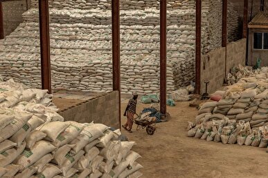 فایننشال تایمز: شوک در خلیج فارس زنجیره جهانی تامین غذا را مختل خواهد کرد