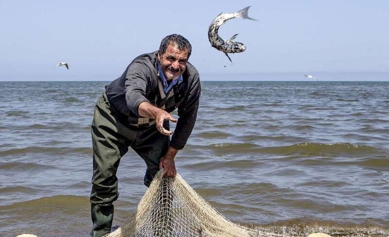 ۱۰۵۵ تن انواع ماهیان استخوانی در گیلان صید شد