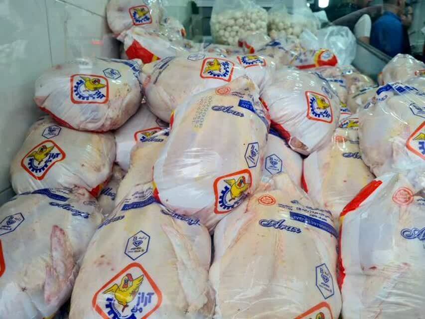 عرضه مرغ منجمد در اردبیل