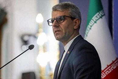 بقایی: باج‌دهی به زورگویان و متجاوزان آنها را جری‌تر می‌کند