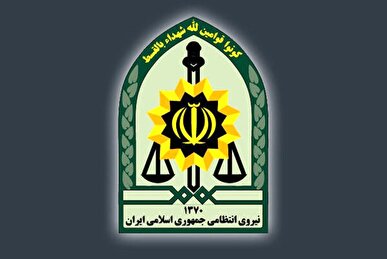 پليس استان کرمان از دستگیری ۱۵ نفر به اتهام تشویش اذهان عمومی خبر داد