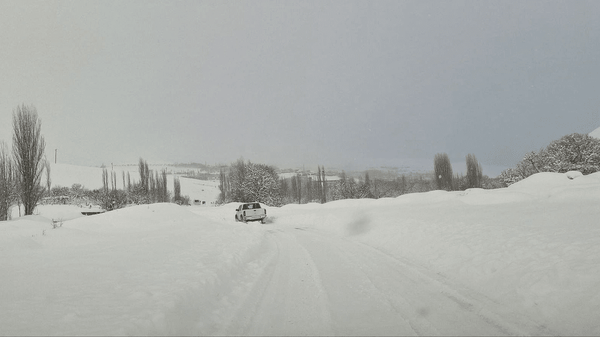 بارش ۳۶ سانتیمتر برف در آلوارس اردبیل