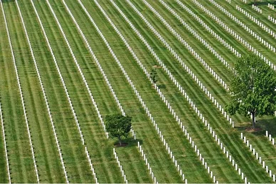 علی اکبر سیاح طاهری: نیروهای ایرانی حاضر در جزایر قبرستانی برای سربازان آمریکایی آماده کرده‌اند + فیلم