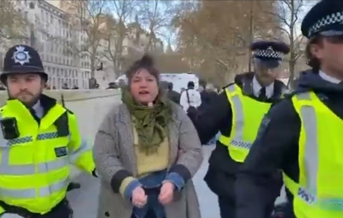 من به خاطر داشتن یک تابلوی مقوایی دستگیر می&zwnj;شوم