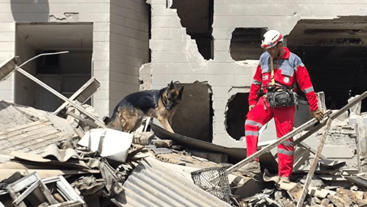 بیش از هفت هزار نفر در جنگ تحمیلی اخیر سالم از زیر آوار بیرون آورده شدند