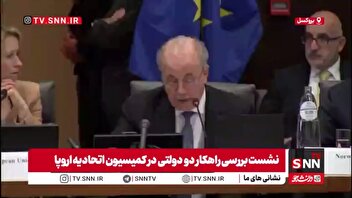 نماینده فلسطین: اجرای قطعنامه‌های سازمان ملل و پایان اشغال، شرط تشکیل دولت مستقل فلسطین است