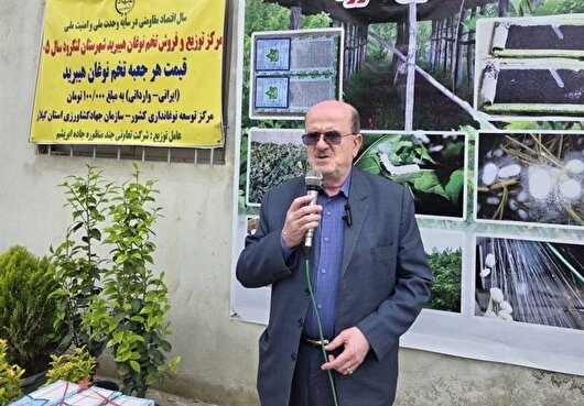 نیاز کشور به ۶۵۰ تن نخ ابریشم است