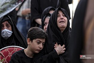 حال و هوای قطعه ۴۲ بهشت زهرا (س)