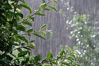 رگبار باران و رعدوبرق در غرب کشور و دامنه‌های جنوبی البرز