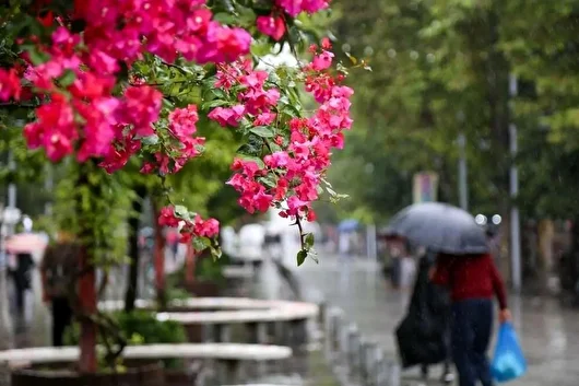 هوای ابری و مه‌آلود در گیلان ماندگار شد
