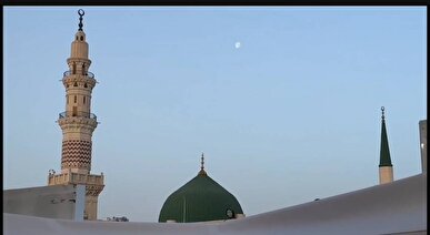حسرت پنجشنبه‌های کربلا از مدینه منوره