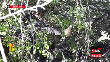 حمله حزب‌الله به یک مقر فرماندهی ارتش اسرائیل در جنوب لبنان+فیلم