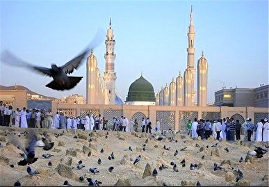 سلام عاشقانه زائران حج به پیامبر رحمت در مدینه + فیلم