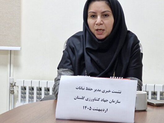 فرصت طلایی برای سمپاشی گندمزارها/ کمبودی در تأمین سم در گلستان وجود ندارد