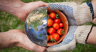 واشینگتن پست: جنگ ایران در حال نابودی کشاورزان آسیا و تهدیدی برای امنیت غذایی جهان است
