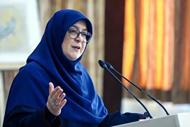 ببینید/ اینترنت پرو، نشست خبری را به حاشیه برد/ بگومگوی خبرنگاران و سخنگوی دولت بر سر
