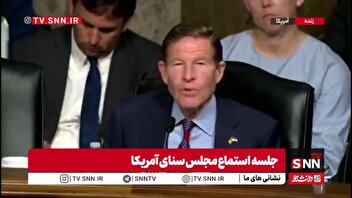 سناتور آمریکایی فرمانده سنتکام را به چالش کشید