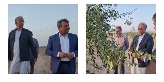 زاهدان در مسیر شکل‌دهی بزرگ‌ترین کمربند سبز شرق کشور