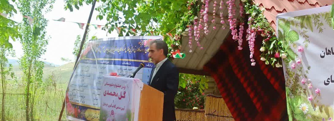 گل محمدی در مسیر تبدیلشدن به محصول راهبردی ایلام / توسعه باغهای دیم و حمایت از تولیدکنندگان شتاب میگیرد