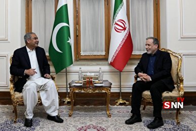 دیدار وزیر کشور پاکستان با عراقچی