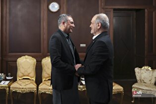 دیدار وزیر کشور پاکستان با رئیس‌جمهور و رئیس مجلس شورای اسلامی