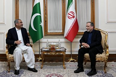 دیدار وزیر کشور پاکستان با وزیر امور خارجه
