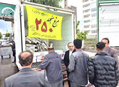 توزیع مرغ منجمد با قیمت ۲۵۰ هزار تومان در استان اردبیل