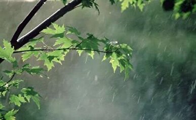 تشدید رگبار در ۱۱ استان/ باد شدید و گرد و غبار در ۲۱ استان