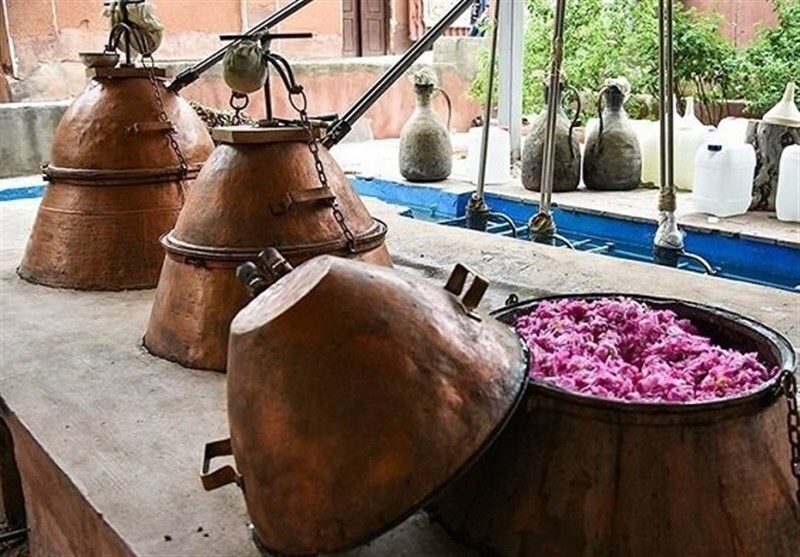 جشنواره گلابگیری بروجرد در مزرعه گردشگری آنی&zwnj;گل برگزار شد