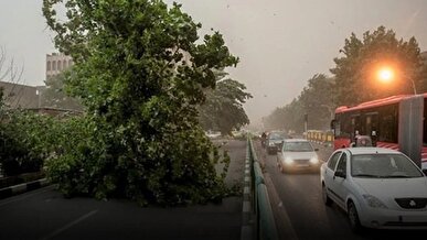 تداوم وزش باد شدید در تهران تا شنبه