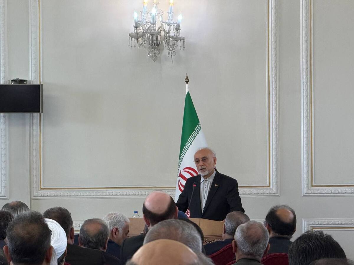 صالحی: شهید امیرعبداللهیان در بحث فلسطین واقعا فعال بود و جانانه کار کرد + فیلم