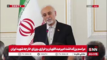صالحی: شهید امیرعبداللهیان در بحث فلسطین واقعا فعال بود و جانانه کار کرد