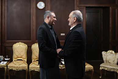 پزشکیان روند رایزنی‌های دیپلماتیک را مورد بررسی و ارزیابی قرار داد/ قدردانی از مواضع و همکاری‌های دولت پاکستان / تاکید بر تقویت هماهنگی‌های سیاسی دو کشور + فیلم