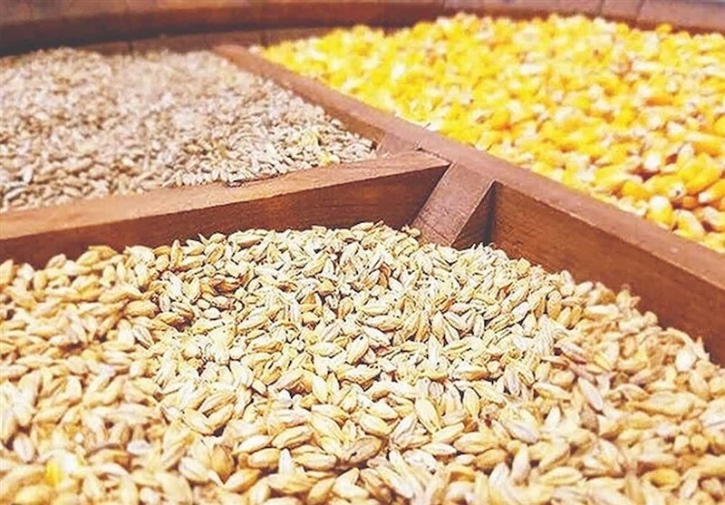 بیش از ۱۴۶ هزار تن نهاده دام و طیور در قزوین توزیع شد