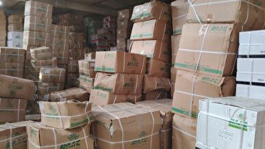 کشف بیش از ۴۷۰ میلیارد تومان کالای احتکار و قاچاق در تهران