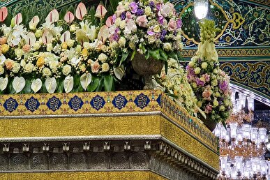 ببینید/ ضریح مطهر حرم امام رضا (ع) گل‌آرایی شد