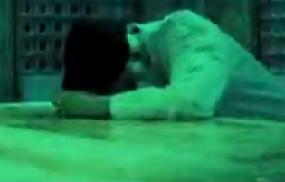 ‌از آستان تا بهشت؛ الّلهُمَّ صَلَّ عَلی وَلیِّکَ عَلیِّ بن موسی‌الرضا