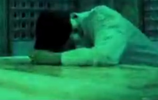 ‌از آستان تا بهشت؛ الّلهُمَّ صَلَّ عَلی وَلیِّکَ عَلیِّ بن موسی‌الرضا