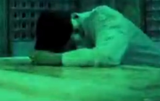 ‌از آستان تا بهشت؛ الّلهُمَّ صَلَّ عَلی وَلیِّکَ عَلیِّ بن موسی‌الرضا