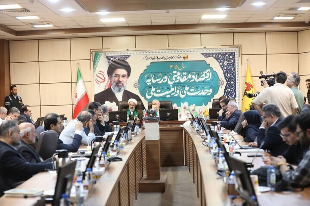 جلسه کمیسیون اصل نود با وزیر نیرو؛ تدابیر مجلس برای پایداری آب و برق