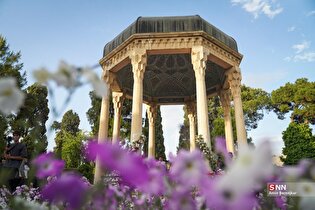گلباران آرامگاه حافظ شیرازی در روز میمند