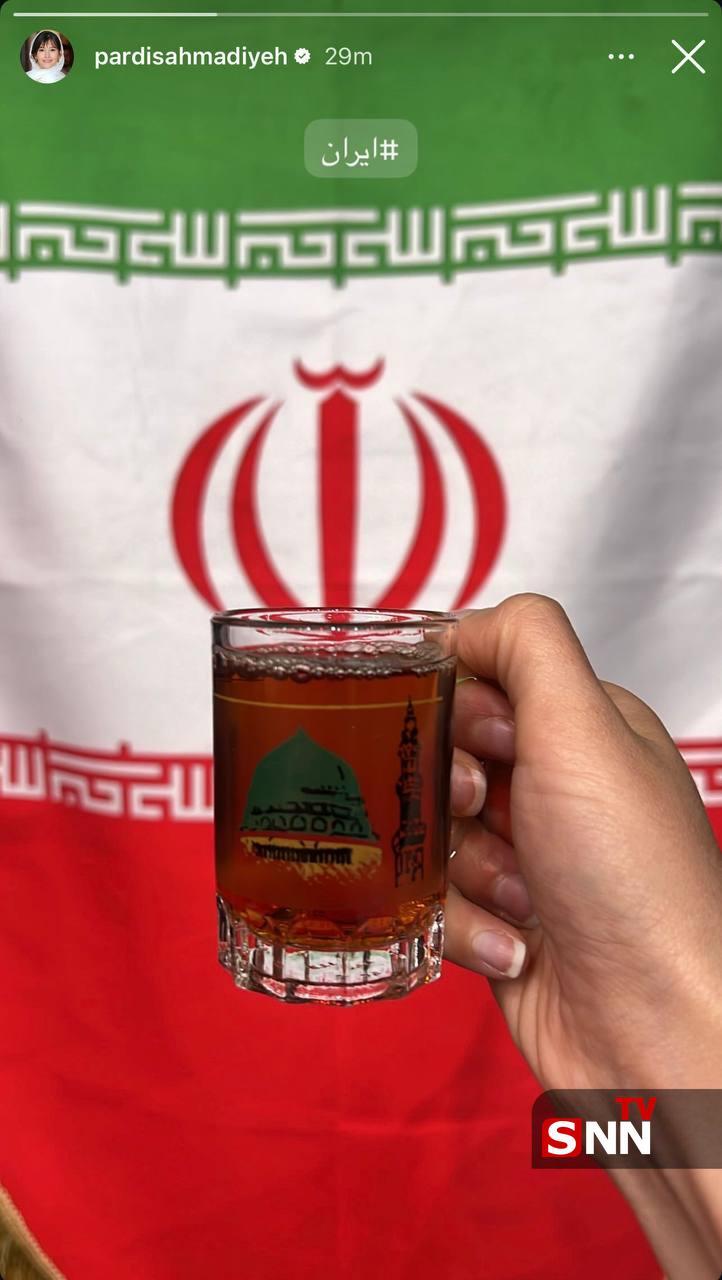 استوری پردیس احمدیه بازیگر سینما در تجمعات خیابانی + عکس