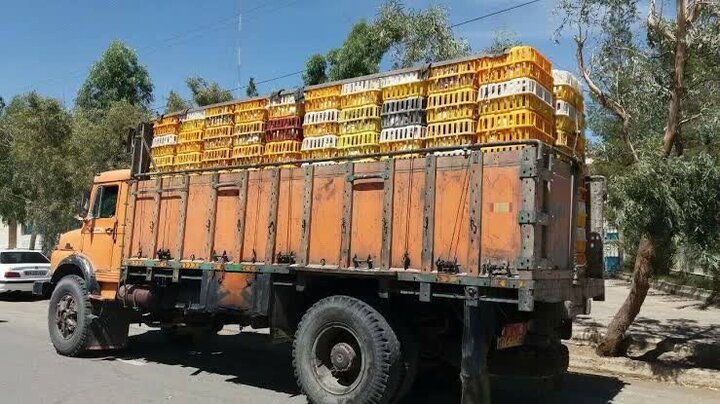 کشف بیش از یک هزارمرغ زنده فاقد هرگونه مجوز بهداشتی در آذربایجان شرقی