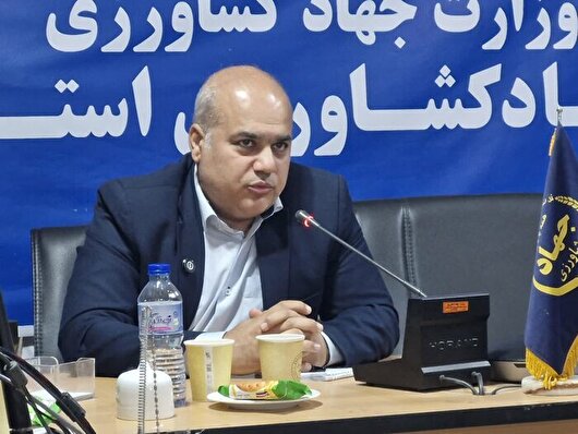 جوجه‌ریزی مرغداران گلستان در اردیبهشت ۲۰درصد افزایش یافت 
