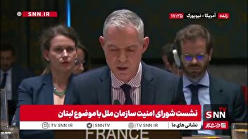 نماینده روسیه: جاه‌طلبی های اسرائیل توقف ناپذیر است / ما بشدت اقدامات خصمانه اسرائیل را محکوم میکنیم