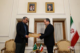 دیدار وزیر کشور پاکستان با وزیر امورخارجه جمهوری اسلامی ایران