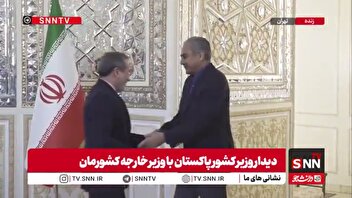 استقبال عراقچی از وزیر کشور پاکستان