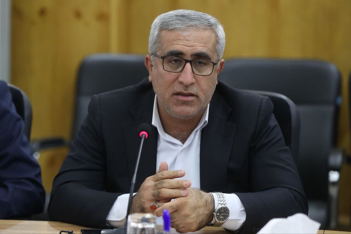 نصیبی: دولت باید رویکرد خود در حوزه مالیاتی را عوض کند
