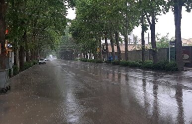 بارش باران های نسبتا رگباری در زنجان