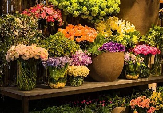 بازدید رایگان از نمایشگاه گل و گیاه و باغبانی مشهد